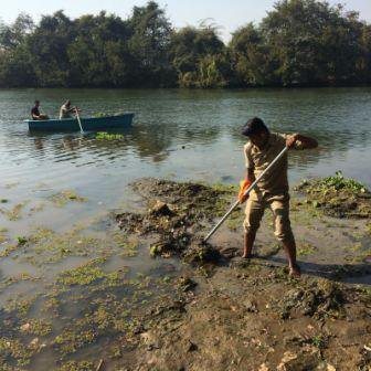 Swachh Bharat Urban (@swachhbharatgov) on Twitter photo Watercress removal by #SwachhBharat volunteers in Pimpri, Chinchwad for #MyCleanIndia. <a href="/SwachhMaha/">Swachh Maharashtra</a> Watercress removal by #SwachhBharat volunteers in Pimpri, Chinchwad for #MyCleanIndia. <a href="/SwachhMaha/">Swachh Maharashtra</a>