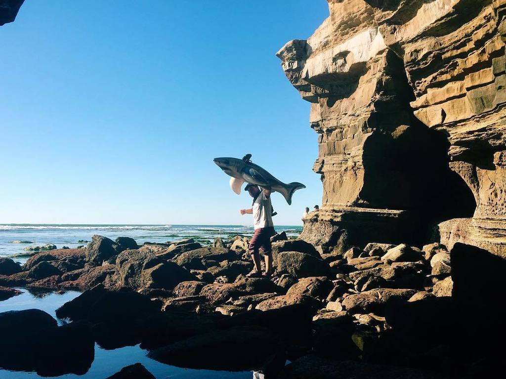 CaTurfPros's tweet image. 🌊🌊🌊
#EveryWeekIsSharkWeek by pacificyo on InstaGram