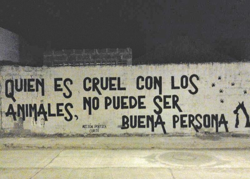 Betzy de BetzyLand 🇨🇱 tweet media