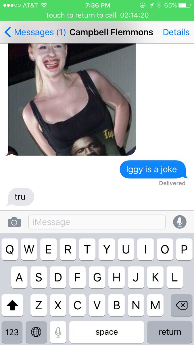selliekelberg's tweet photo. Me & @Campbell_McCall are on the phone but also texting #justFYI #iggyisajoke #spiderus #tedcruz https://t.co/XjmnanH0iJ
