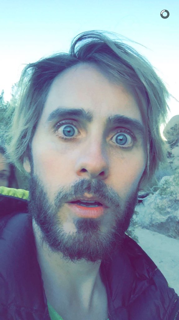 710Jenn's tweet image. Our collective fantasy💖 #ECHELON