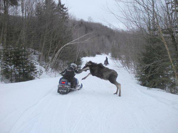 Sledproblems's tweet photo. New England #snowmobileproblems https://t.co/zI5JN35AUx