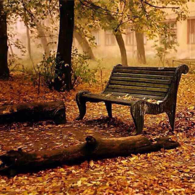 صباح الخير 🌹