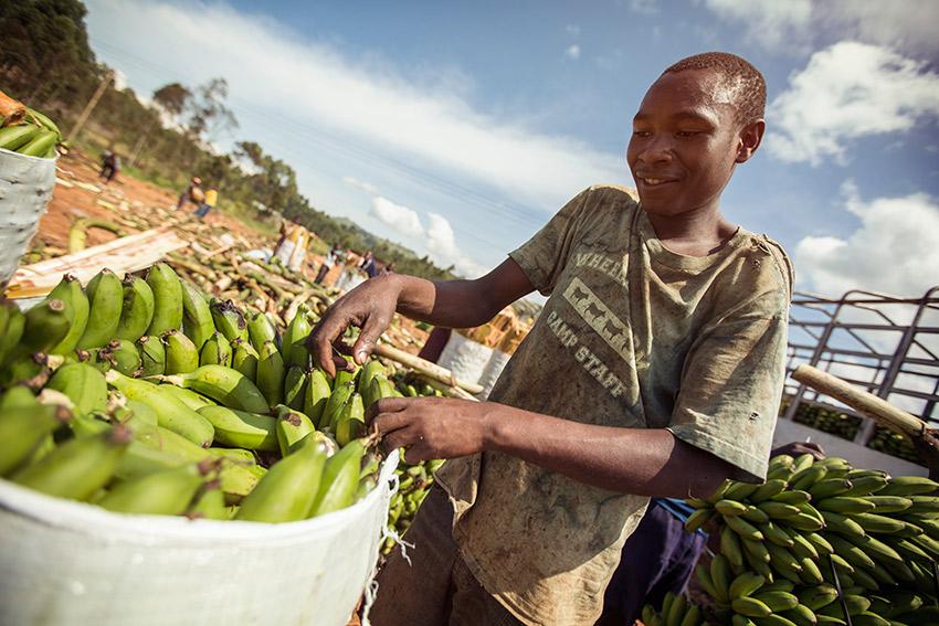 Discover the charms of Kampala, Uganda's capital, with travel blogger <a href="/brenontheroad/">Bren</a>. gadvnt.rs/1T0fOP4