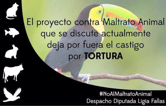 LigiaFallas's tweet photo. Luchamos para que se incluya el delito por tortura

#NOALMALTRATOANIMAL
#18298YA! https://t.co/J7jFxqiTNU