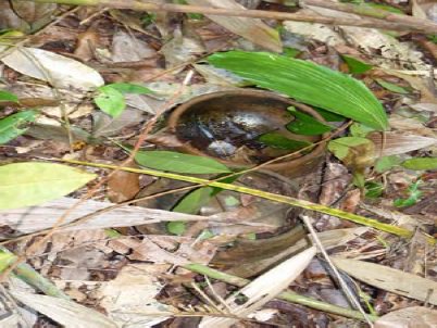 Image: https://pbs.twimg.com/media/Cavr7yFW0AAwFnW.jpg