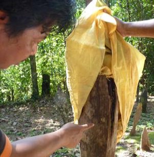 Image: https://pbs.twimg.com/media/CavrSPEXEAAX3AP.jpg