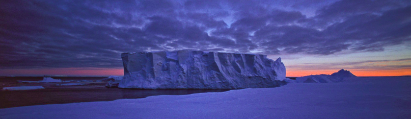 MissionBlue's tweet photo. Explore the Antarctic with @SylviaEarle https://t.co/JUxmdNw4PX https://t.co/MEiO8LTCsx