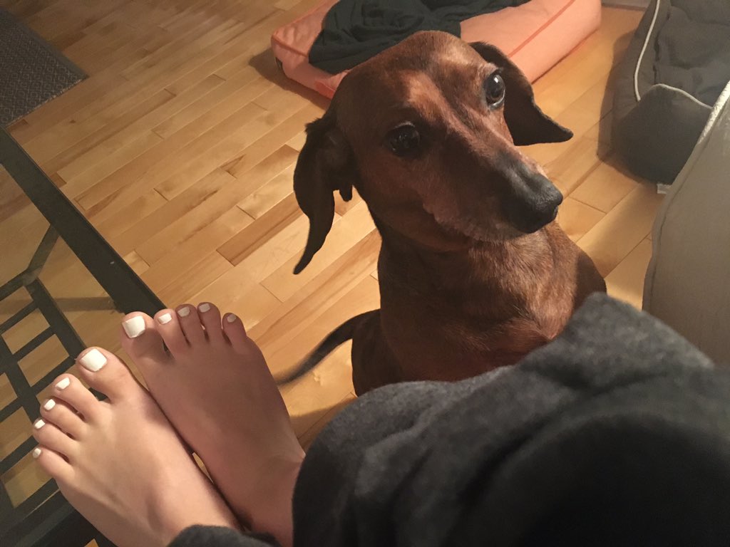 TW Pornstars - Ariel Rebel. Twitter. Toes and puppy *^_^*. 4:43 AM - 9 Feb  2016