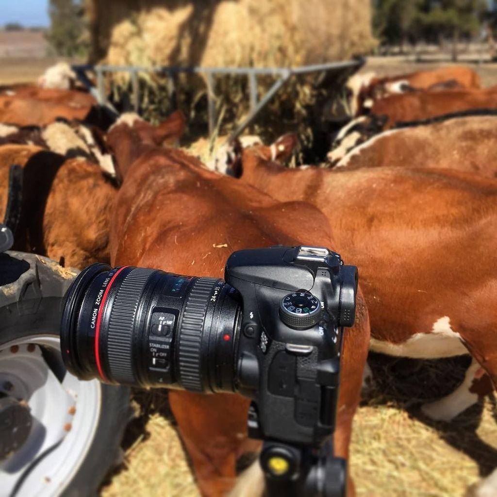 mickrussell_'s tweet image. The camera will be fine just behind her... #trust #maybe #gotinsurance ift.tt/20H92DP