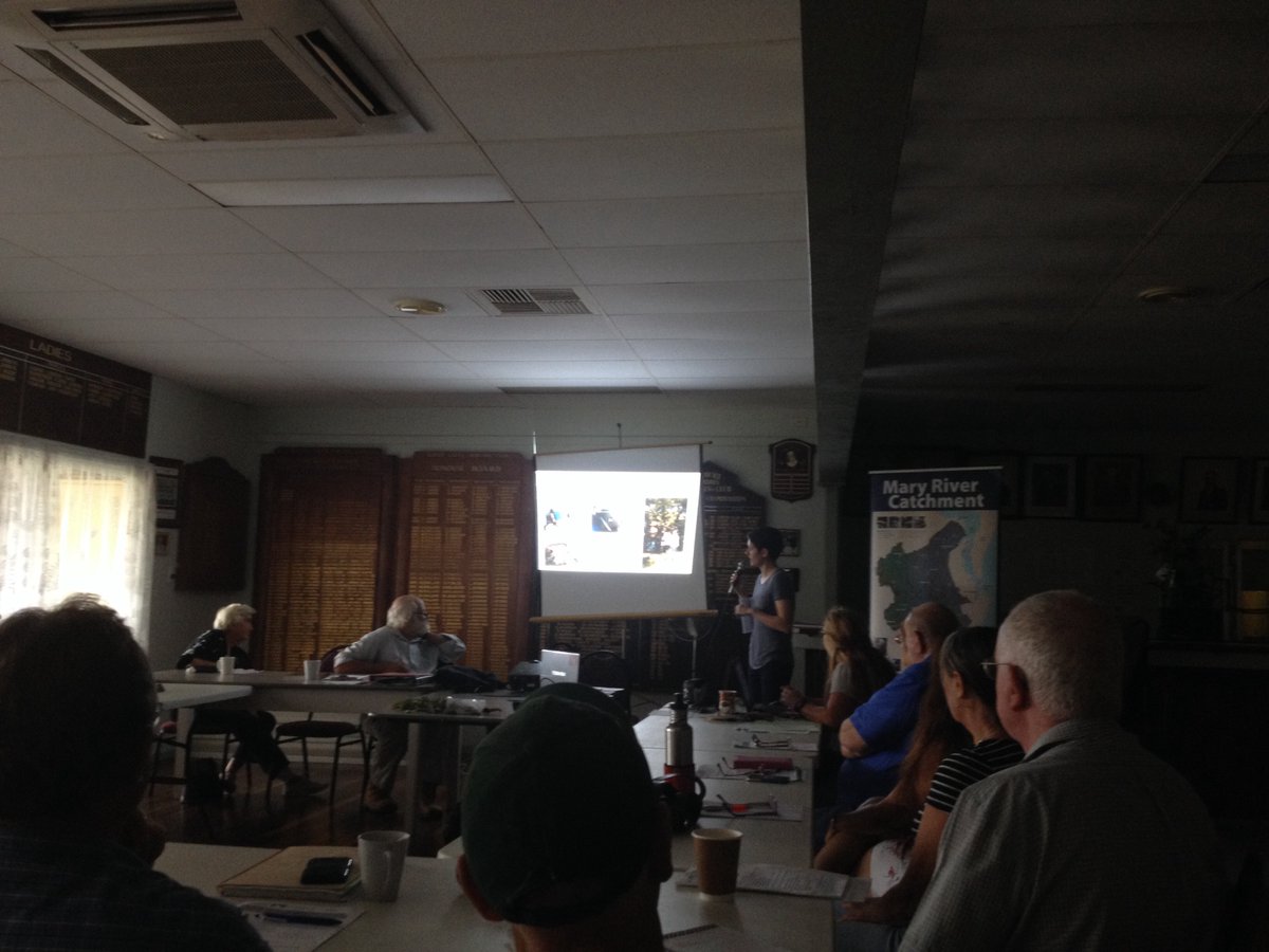 Mary River Catchment tweet media