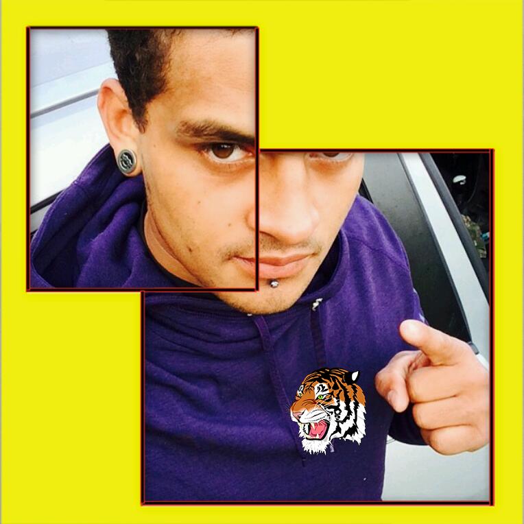 662will's tweet image. El Tigre