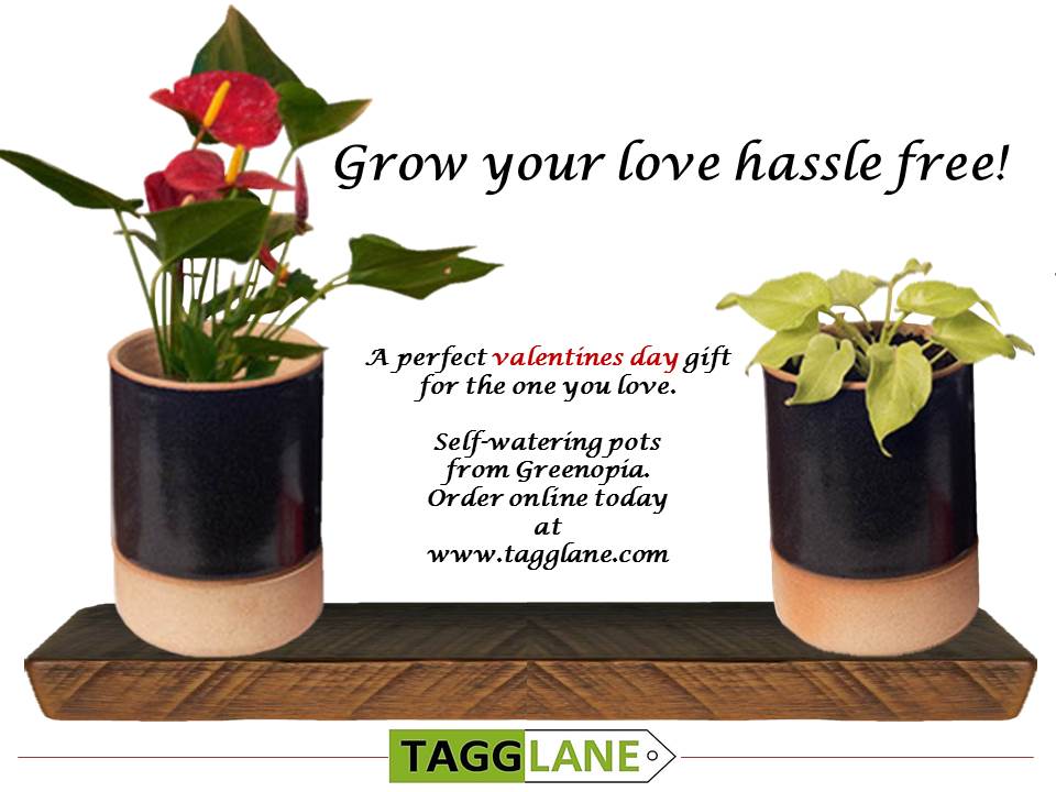 Tagglane's tweet photo. Your city #shopping for #ValentinesDay #gifts made easy by https://t.co/GUSMpF1SKK #startup #Bangalore #Goa https://t.co/Yx60Taojac