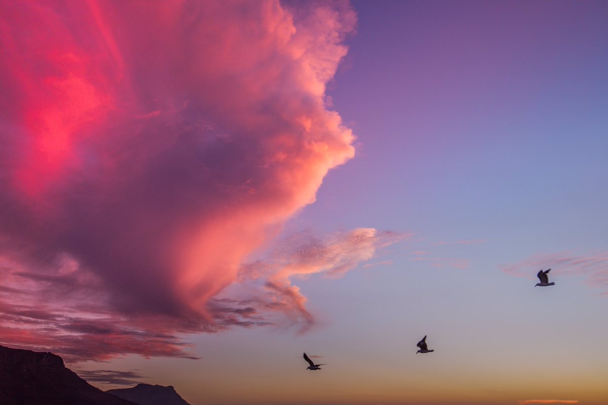 Some more images from last nights insane sunset in #campsbay #capetown #southafrica