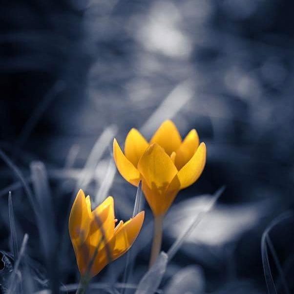 Fasihk4Fasih's tweet photo. Forgiveness does not change the past, but it does enlarge the future.@ssigry @pelos211111 @ChristyLee1414 @l https://t.co/CSn2jIpnqB