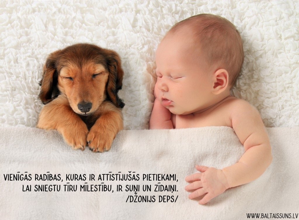 «BALTAIS SUNS» (@sunspavadonis) on Twitter photo 