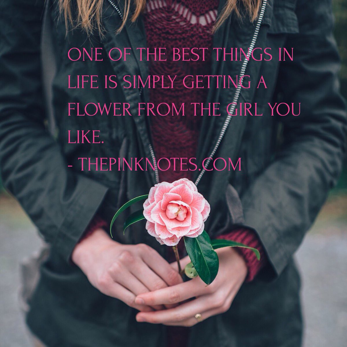 thepinknotes's tweet image. #Valentines is coming 💖 👭 #lgbt #lesbian #lesbians #bisexual