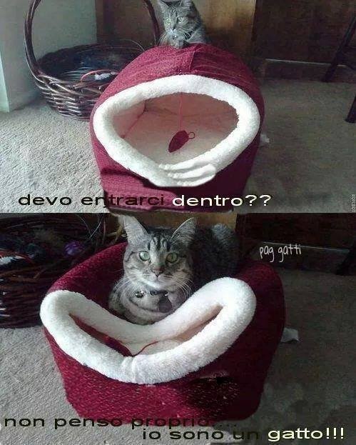 PluSizeBlog's tweet image. ☺