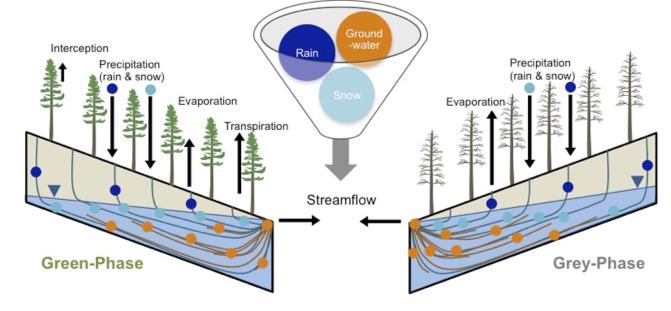 Reed Maxwell tweet media