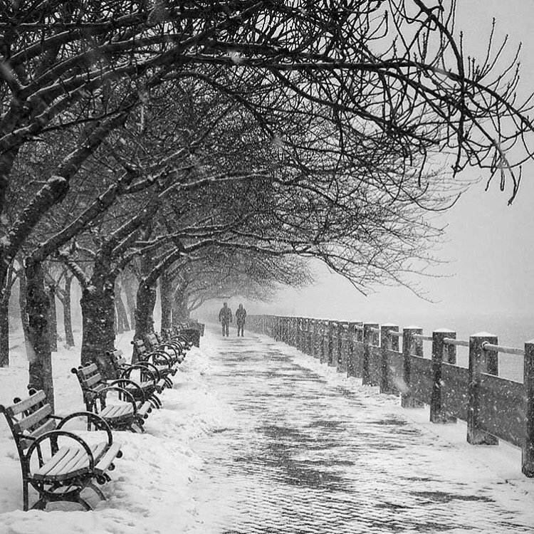 Michael__Fausto's tweet photo. This last week has shown how beautiful the city can be when covered in a little snow. https://t.co/TNmLMXjfi2