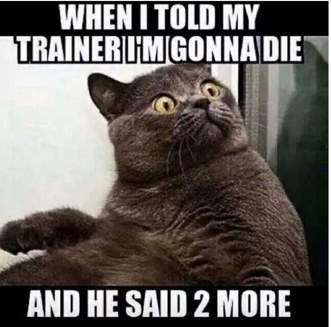 I feel like I get this look a lot... @TTUKramer <a href="/JennaBekker/">Jenna May Bekker</a>