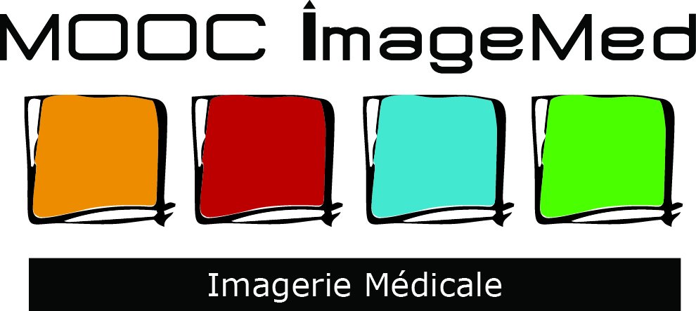 CornyAmel's tweet photo. #imagemed Démarrage du MOOC ImageMed : L’imagerie médicale pour tous de Université Lyon1 https://t.co/mS8Pvwo1F2 https://t.co/6mEhM1tagV