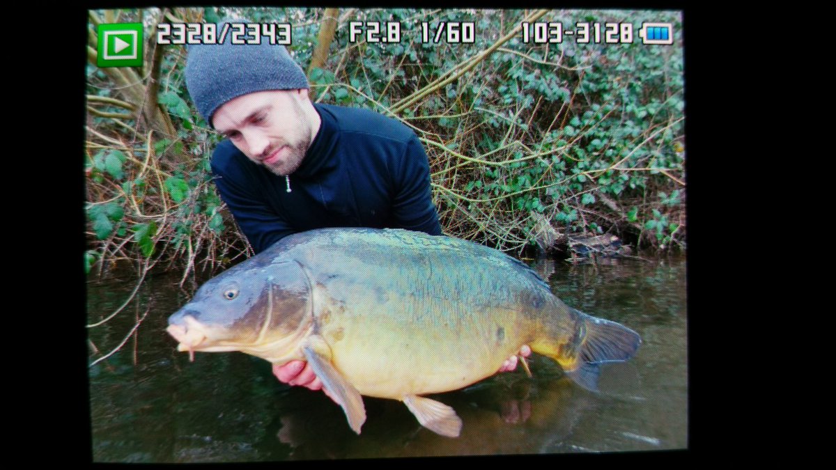 BaitsLive's tweet photo. Es hat erneut geklappt :) . #Carp #Fishing #biggi https://t.co/QrGhnOw4Id