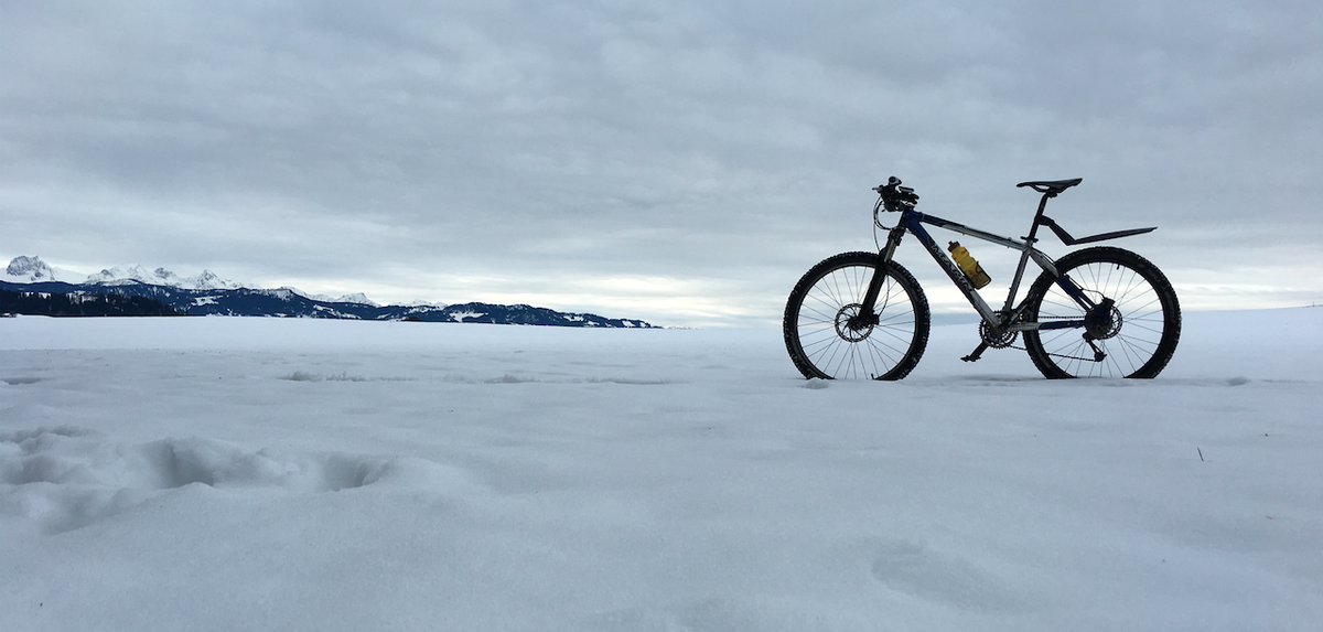 chainstrain's tweet image. Anyone else dreaming of summer …