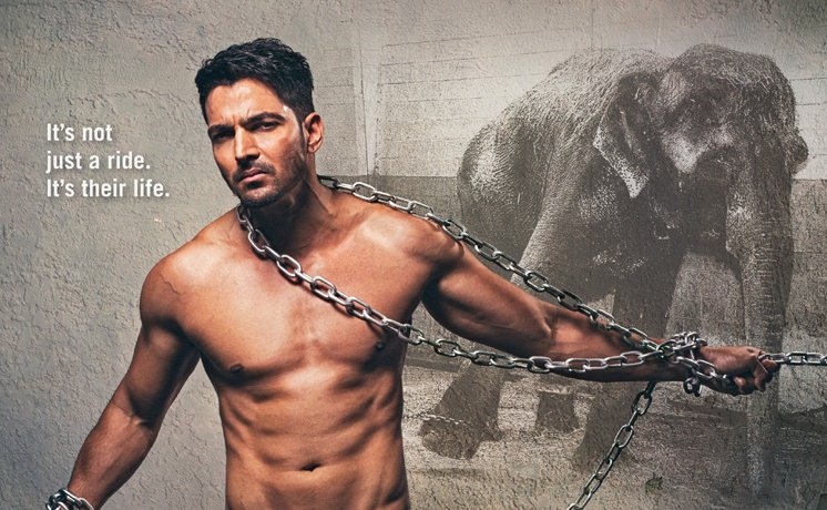 bollybubble's tweet photo. #HarshvardhanRane draws attention to abused elephants

https://t.co/xzmngysFkf
@harsha_actor https://t.co/1HxDQTE6Gz