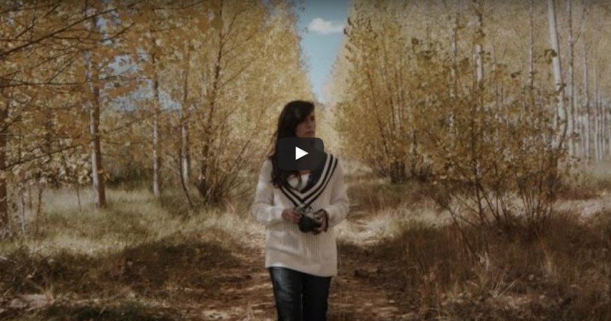 Nuevo videoclip de <a href="/McEnroe_Banda/">McEnroe_Banda</a> : "La electricidad" eitb.eus/es/cultura/mus…