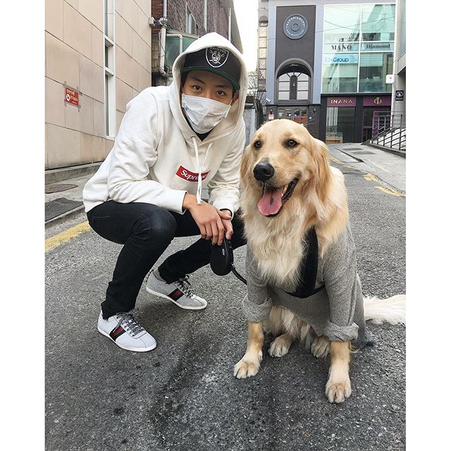 埋め込み画像への固定リンク