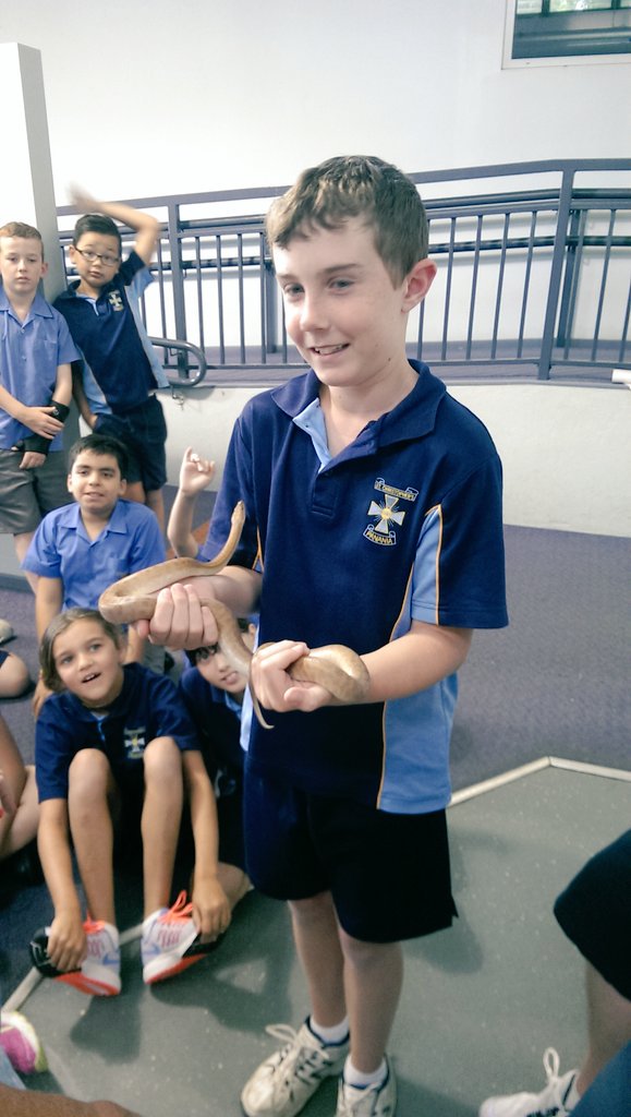 StChrisPanania's tweet photo. Year 5 Immersion with Qt last Friday! #year5fun https://t.co/CS6KPKLqoD