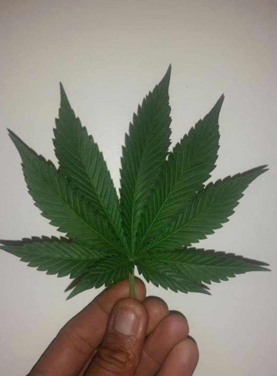 Rb1Bailey's tweet image. Goodmorn friends of #RayBo