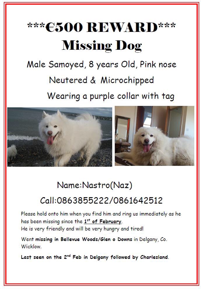 DavidMahon4's tweet photo. #bringnazhome 500€ REWARD
Please retweet @DustinOfficial @MaiaDunphy @thehappypear @rosanna_davison thanks guys! https://t.co/Nt0EUpif77