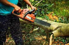 TeddyTradesman's tweet photo. Got a tree that needs pruning, need tree care in your area? Look here: https://t.co/3TE2danVDg #tree #treesurgery https://t.co/FzXel3cWdP