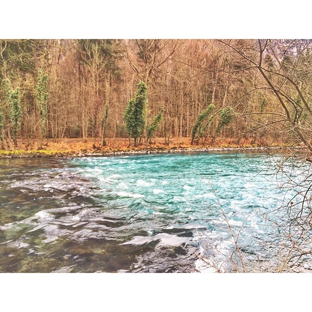 埋め込み画像への固定リンク