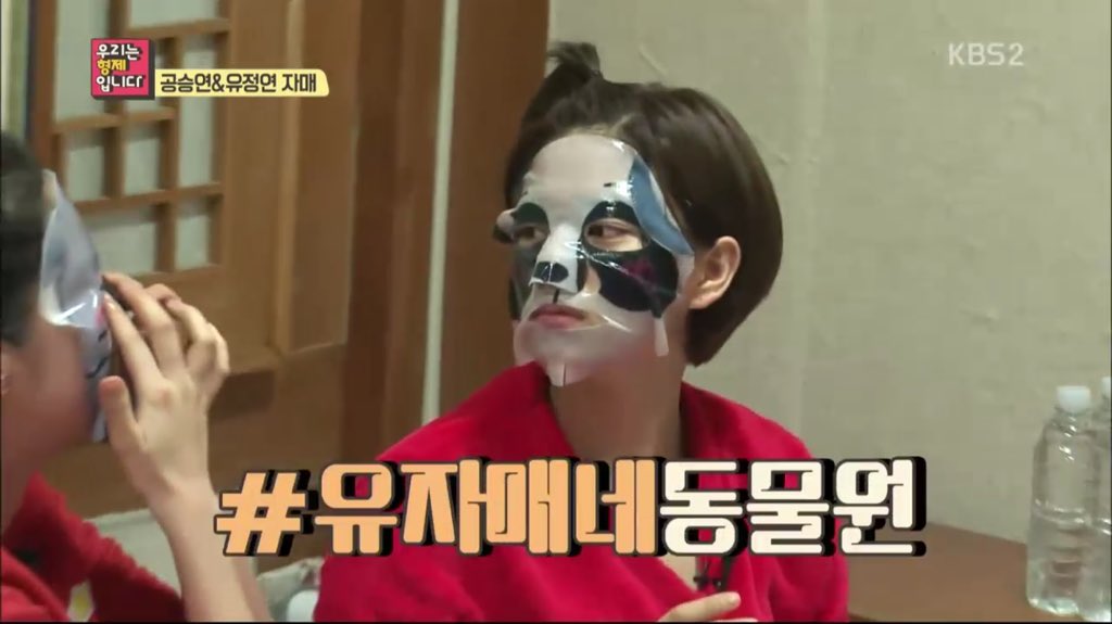 [트와이스] 팬더 유정연(Feat.토끼 공승연) | 인스티즈