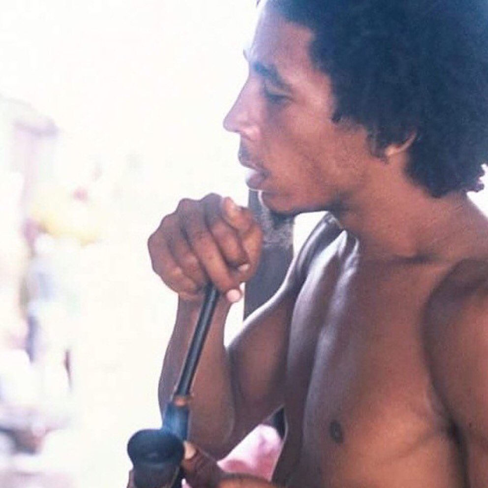 JAH RASTAFARI MORNING 'HERB IS A PLANT GOOD FOR EVERYTHING' 🌿💨 <a href="/MarleyNatural/">Marley Natural</a> #MarleyNatural 🔑 #Gong #LIONORDER