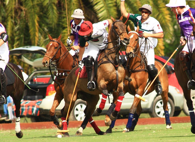 GrandChampions_'s tweet photo. Great #poloaction from last week at #polo @ChukkerTV #lovethepolo https://t.co/APUj0wEbaR