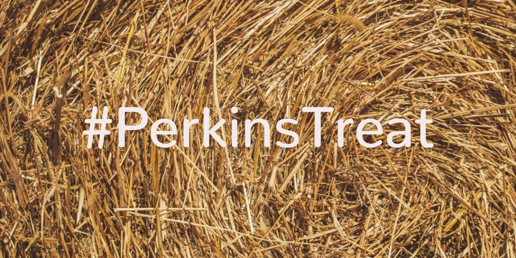 PerkinsOttery's tweet photo. Please RT and we'll donate a #PerkinsTreat to the animals at @ARCRescueDevon  https://t.co/CljXyb5la8 https://t.co/Db262AAbr6