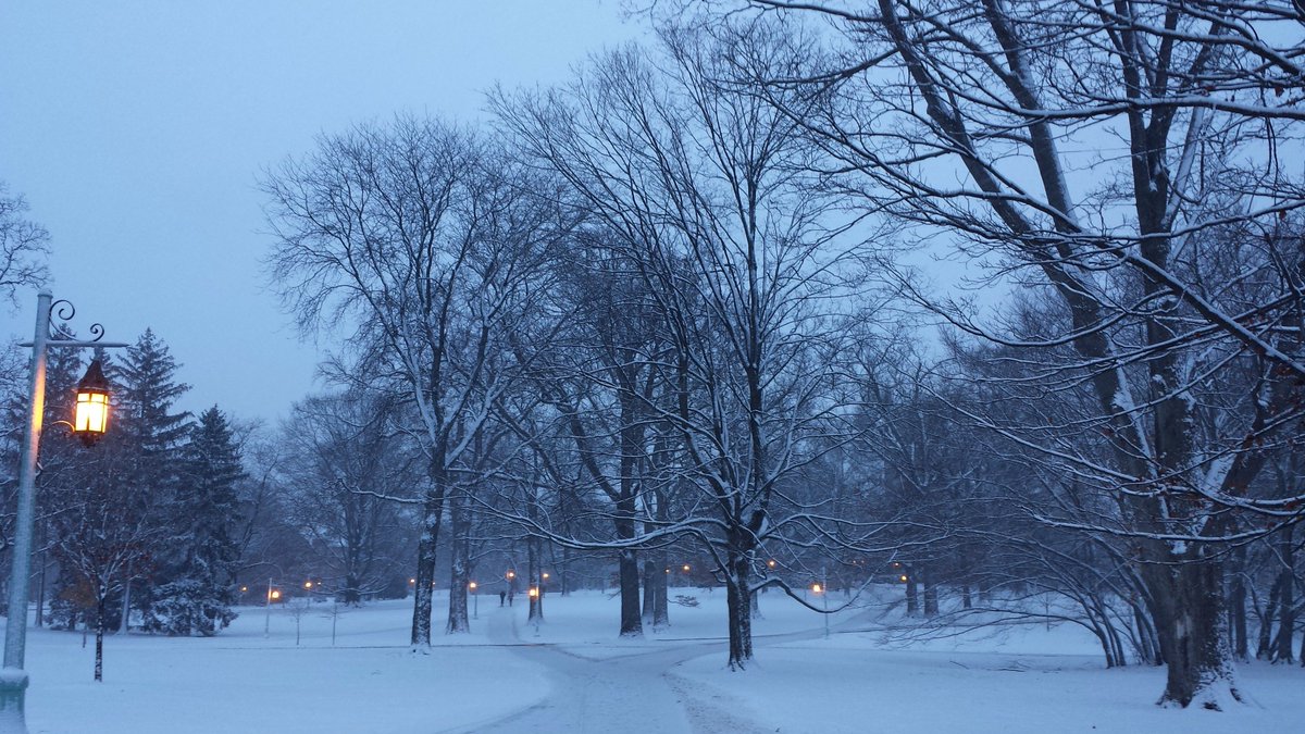 MSUCAL tweet picture