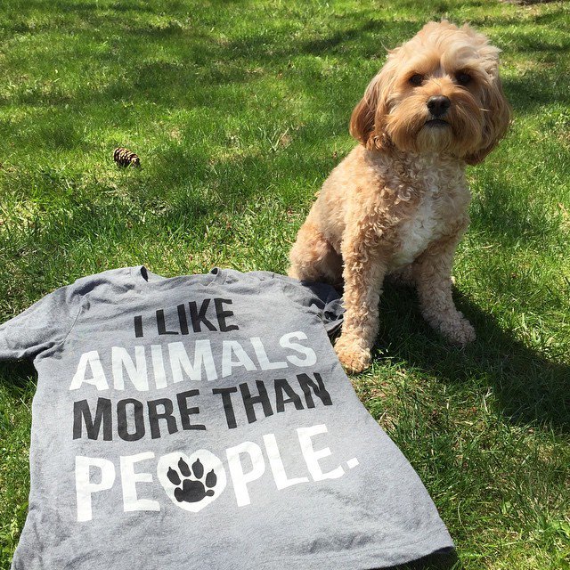 Animal_Hearted's tweet image. Our friend Sadie posing next to our 'Animals Over People' tee! Purchase one here: bit.ly/1X5tnNX