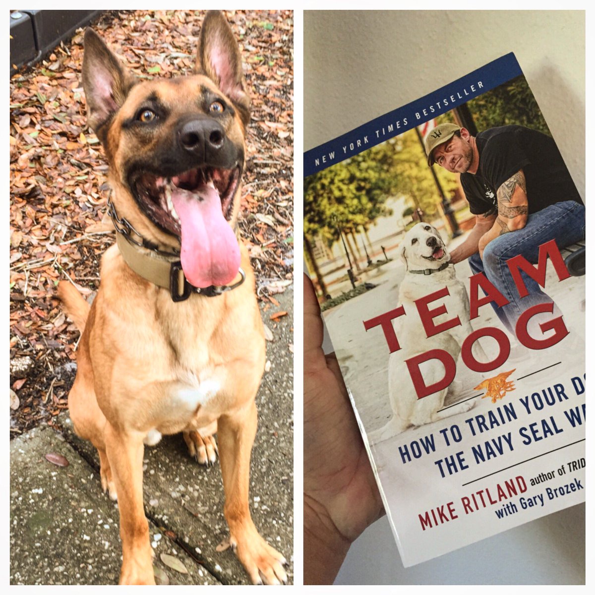FultonStrongk9's tweet photo. #teamdogtuesday 👉🏻 https://t.co/05uJ5oroVd 👈🏻 #TeamDog #GoodBook Best Book on dog care! #booknerd https://t.co/Y31KWOwgPl