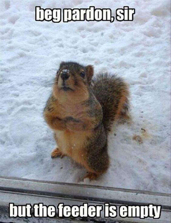 ButtersSquirrel's tweet photo. https://t.co/v6hnRZoHyl