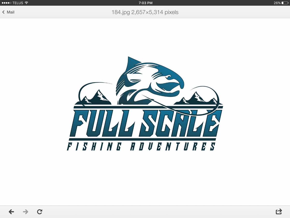 Full Scale Fishing tweet media