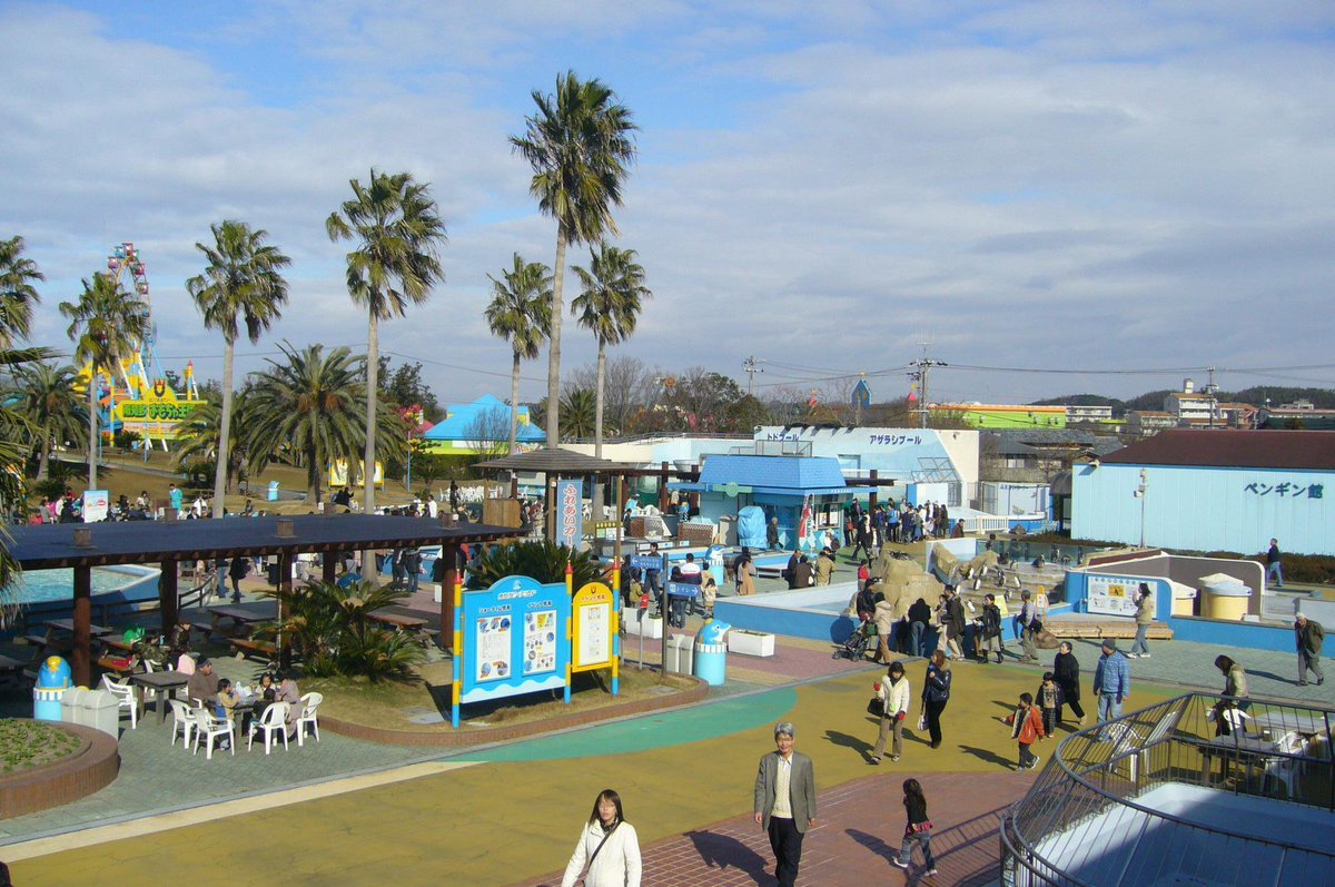 dolphinangels1's tweet photo. #dontbuyaticket #MinamichitaBeachLand 水族館 utsumi 内海市aichi愛知県 貴方を楽しませる、それだけの為に、拷問され、虐殺され、虐待されています。#イルカ天使 RT拡散希望 https://t.co/LHxJh9BJ0u
