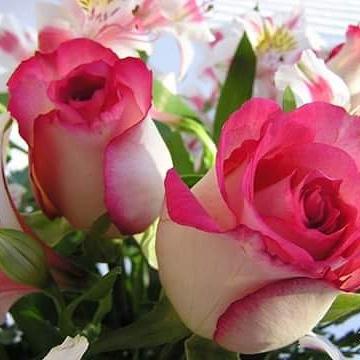 gaid soufian (@gaid_soufian) on Twitter photo 