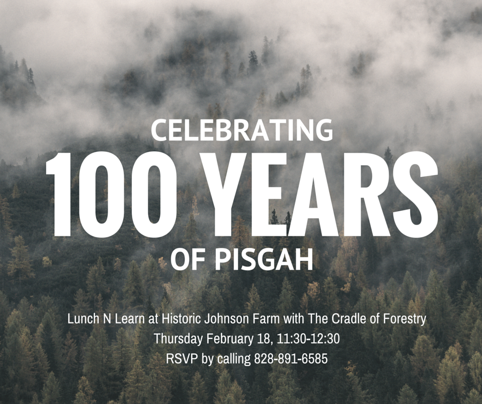 Are you excited for our first Lunch N Learn of 2016? RSVP today!