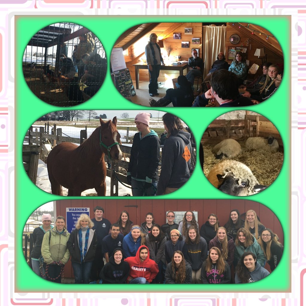 LCCTCFFA's tweet photo. Green Meadow Farm class tour #APST2k16 #horselover #chickens #HampshireSheep https://t.co/HEoP1nl8g1