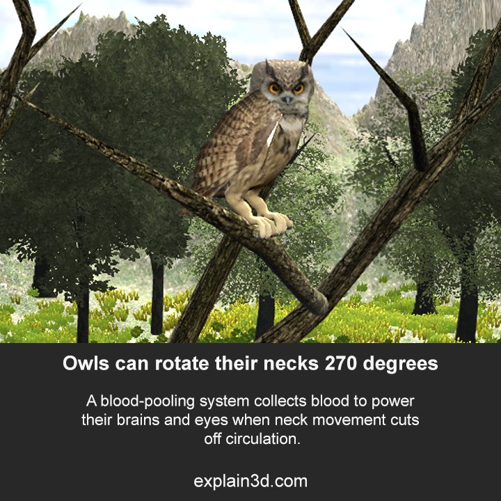 Explain3D tweet picture